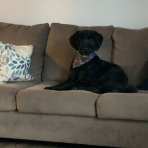 Meet your Posher, Chad